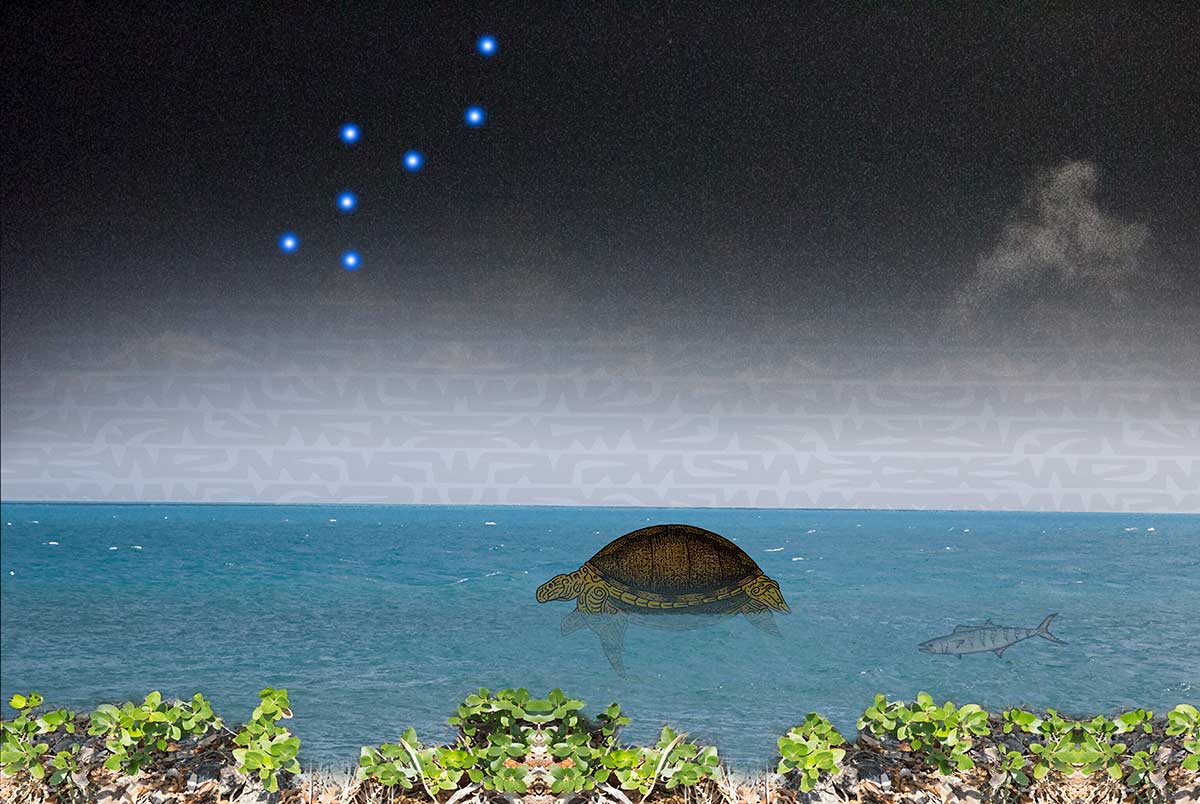 Digital artwork of a turtle swimming in a sea with the Southern Cross constellation above and cut and pasted photo of foliage in the foreground. - click to view larger image