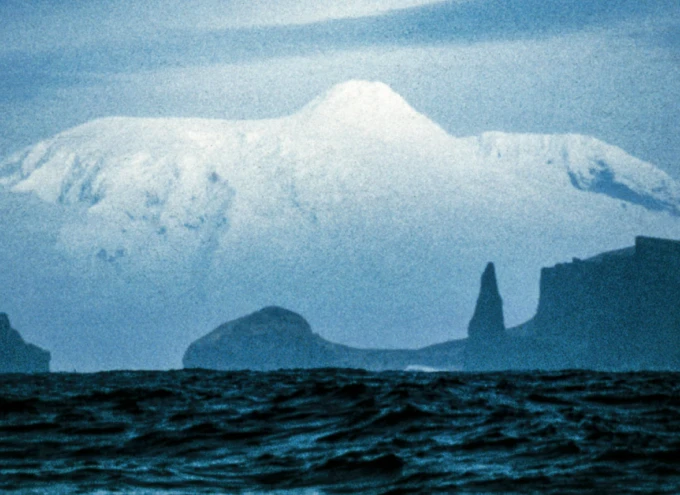 Sharing Stories: The Great White Whale film plus Q&A