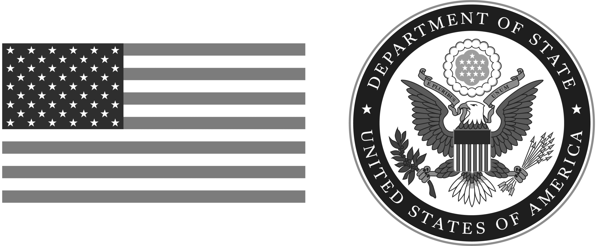 American flag and Department of state logo. 