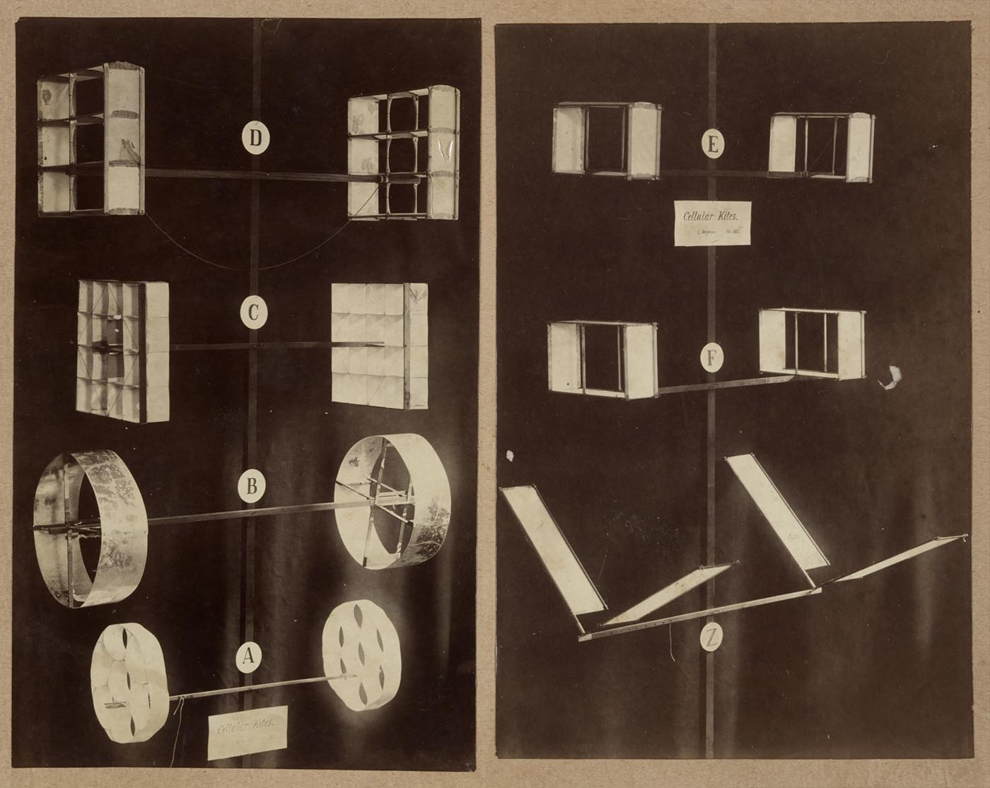 Black and white photograph of a group of cellular kites.