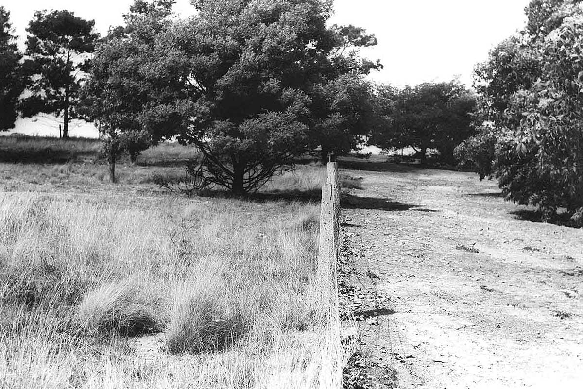 A black and white photo of a fenced field.