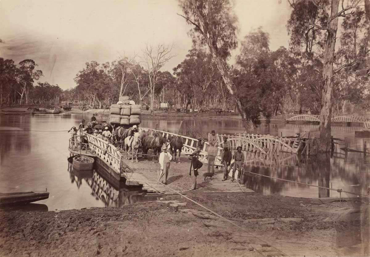Black and white image showing a wooden vessel moored to a riverbank with ropes. Several horses and a wagon loaded with bales are at the rear of the punt. Various people are standing on the punt and there are many gum trees lining the river. - click to view larger image
