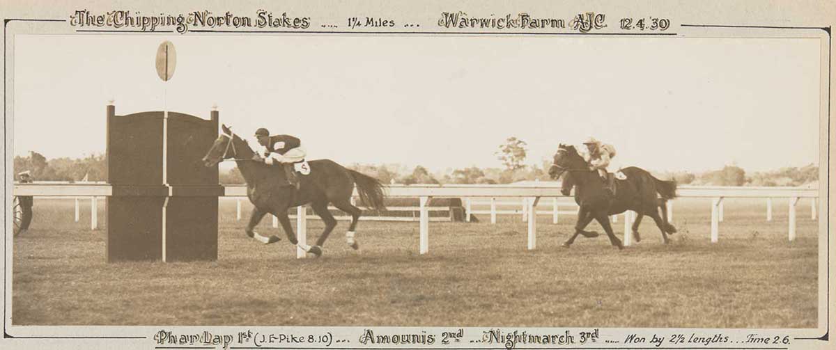 A black and white photo of Phar Lap winning the he Chipping Norton Stakes, 1930. - click to view larger image
