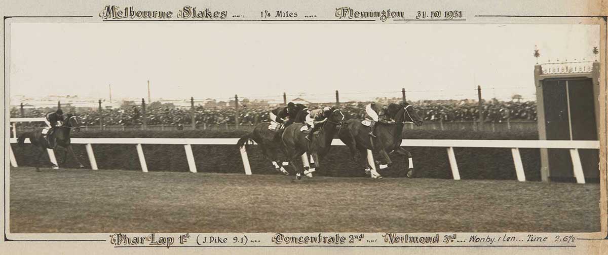 A black and white photo of Phar Lap winning the Melbourne Stakes, 1931. - click to view larger image