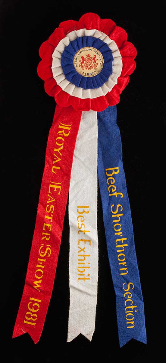 Red, white and blue rosette with three long felt ribbons extending from the base. Printed in yellow text is 'Royal Easter Show 1981, Best Exhibit, Beef Shorthorn Section'. - click to view larger image