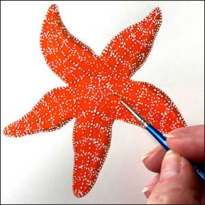 a vibrant illustration of an orange coloured starfish with dark blue outline
