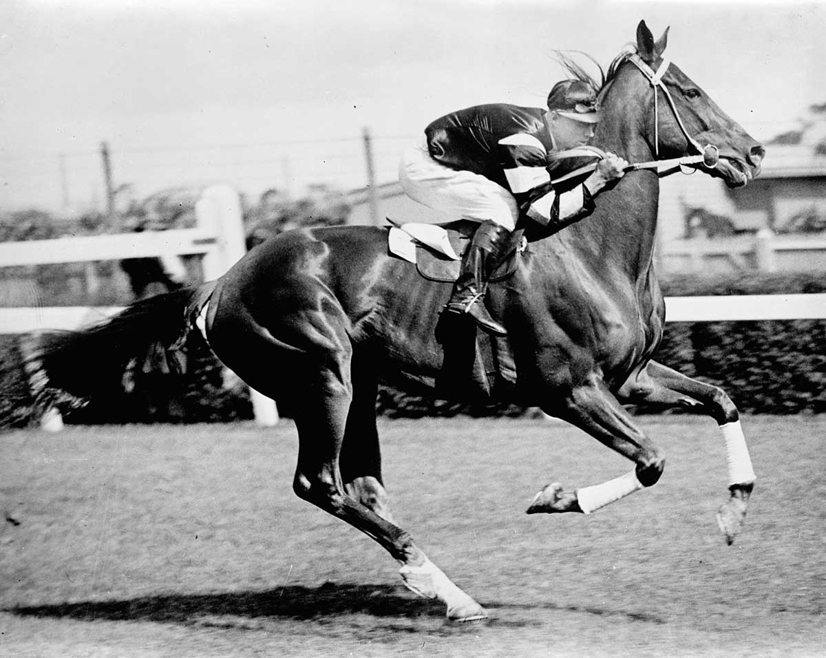 Black and white photo of a jockey racing a horse.