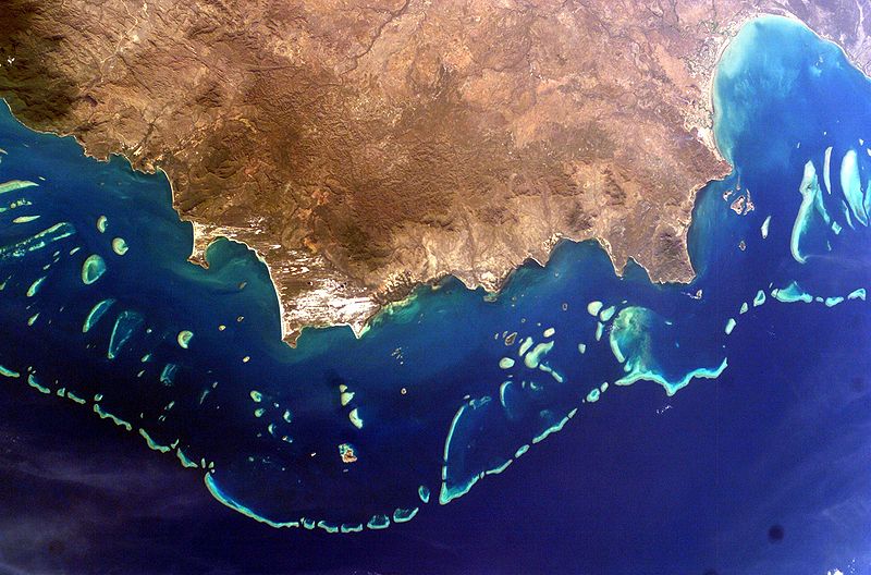 photo taken from space showing part of Queensland fringed by the reef - click to view larger image