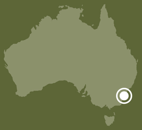 A map of Australia showing the location of Shoalhaven, New South Wales. - click to view larger image