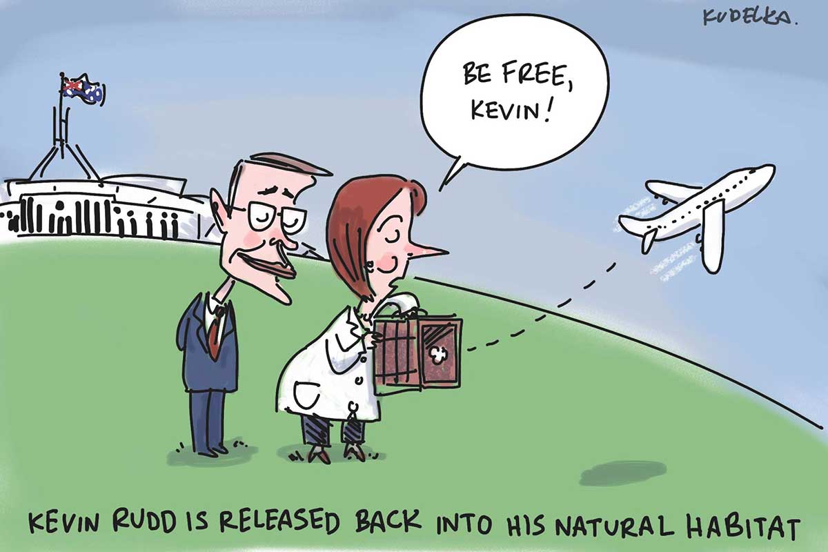 Political cartoon depicting Julia Gillard and Wayne Swan standing on the lawn outside of Parliament House. Gillard holds a small box; she has opened the wire door to it. Out flies a tiny jet airliner, which is heading for the open sky. She is saying 'Be free, Kevin!' Swan watches with a peaceful expression on his face. At the bottom of the cartoon is written 'Kevin Rudd is released back into his natural habitat'. - click to view larger image
