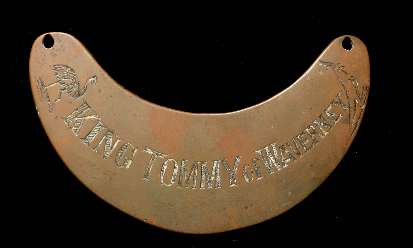 Crescent-shaped breastplate engraved with text 'King Tommy of Waverney' and images of a kangaroo and emu. - click to view larger image