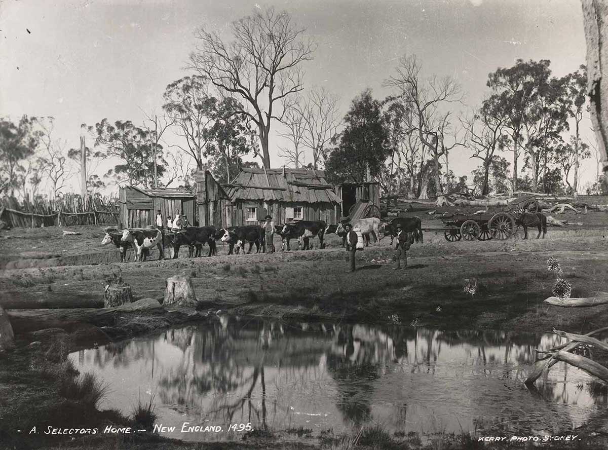 Black and white photo of a homestead and people with a herd of cattle.