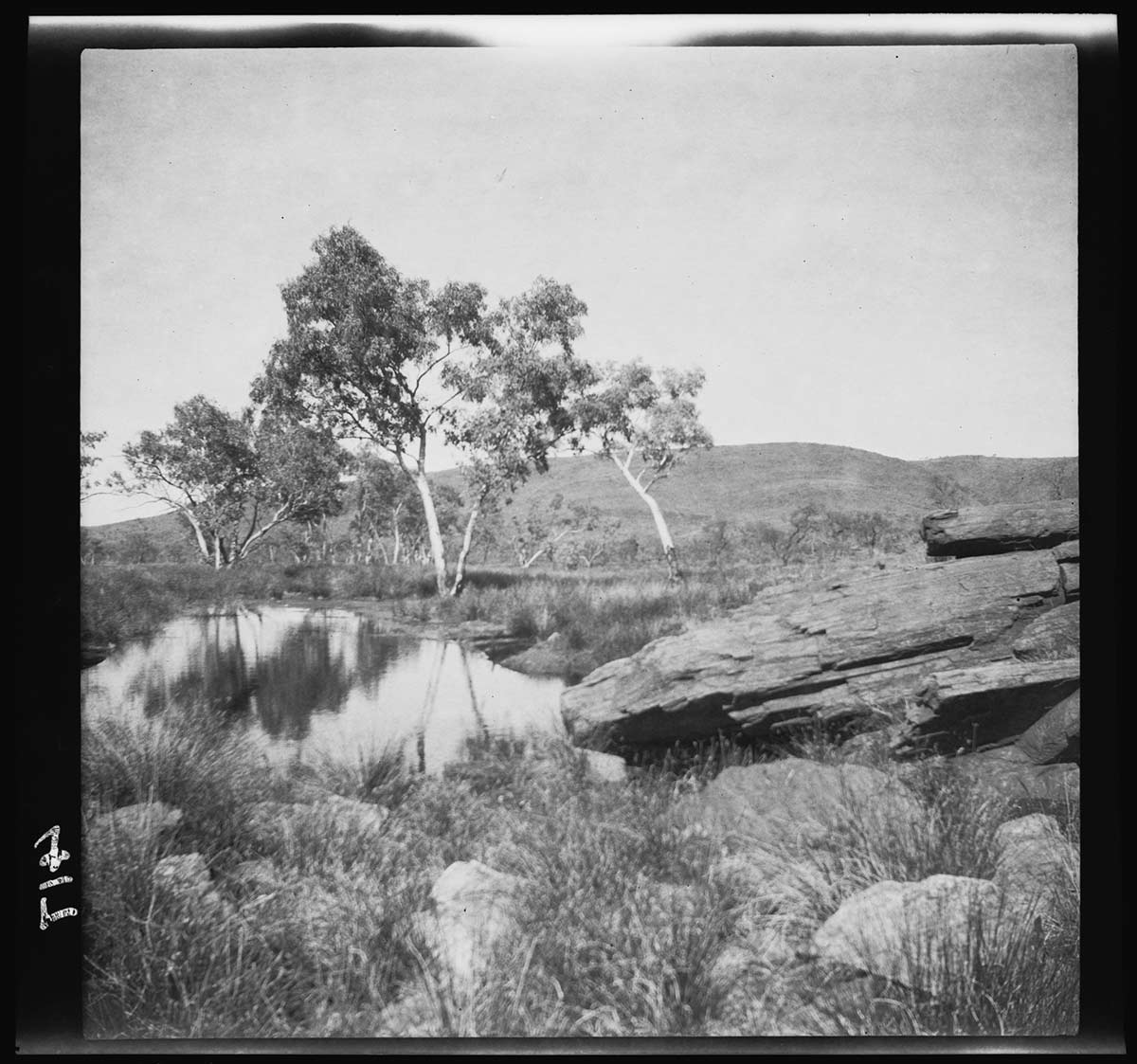 Strawbridge Springs, Tomkinson Ranges, South Australia 1903. The spring pool is in the left middle ground; a single eucalypt tree is at the pool's far edge. Beyond it are scattered eucalypt trees leading to a low mountain range. A rock outcrop with horizontal layers is in the right foreground. Smaller rocks a scattered amongst the long grass at the front of the image. - click to view larger image