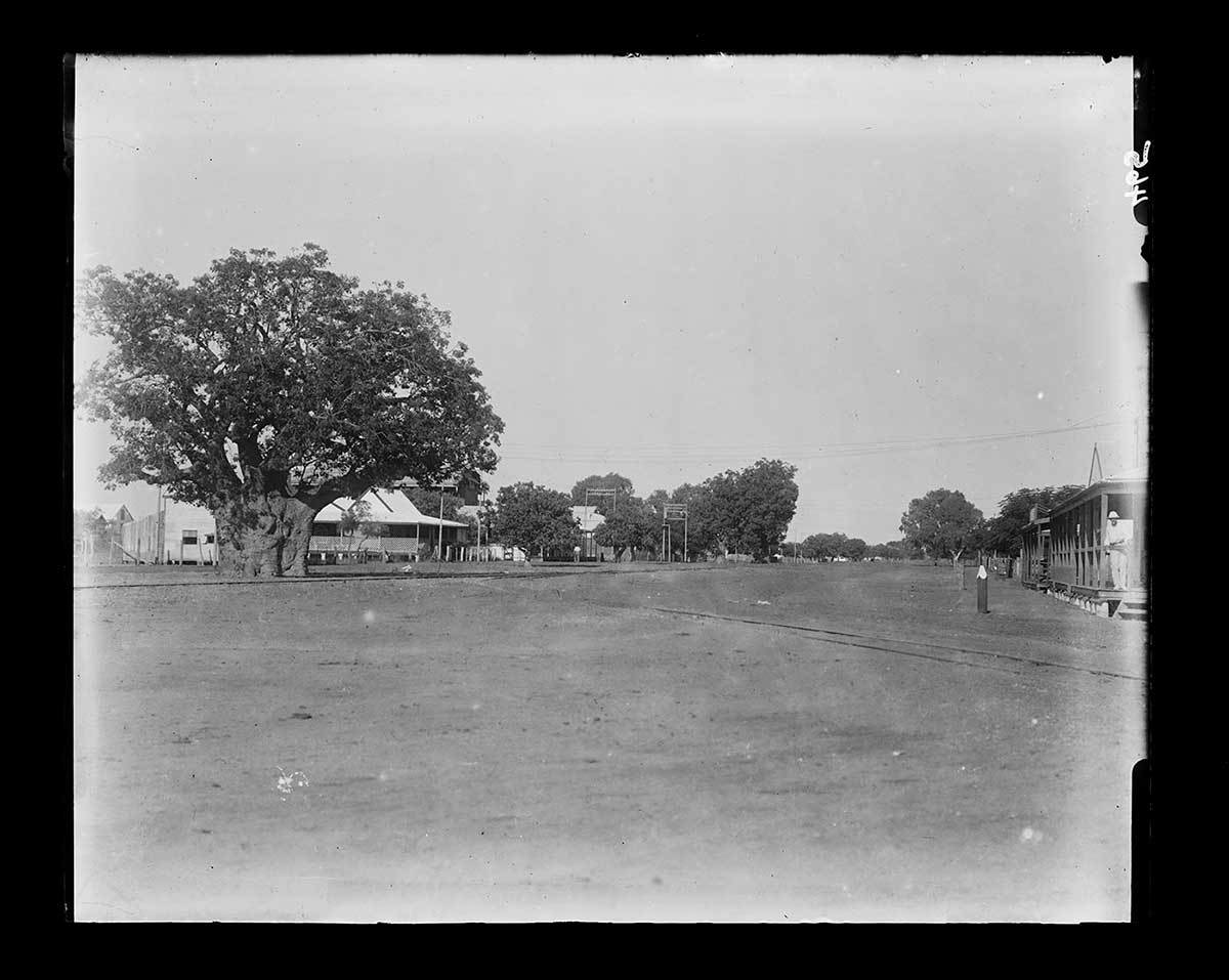 Wide unpaved street, Derby, Western Australia 1916. On the right is a large tree close to the street's edge. Behind it are some buildings that may be homes. On the right side of the image a fence post stands near a building with verandah. A person stands on the verandah step, facing the camera. In the distance are more large trees and buildings nestling in amongst them. - click to view larger image