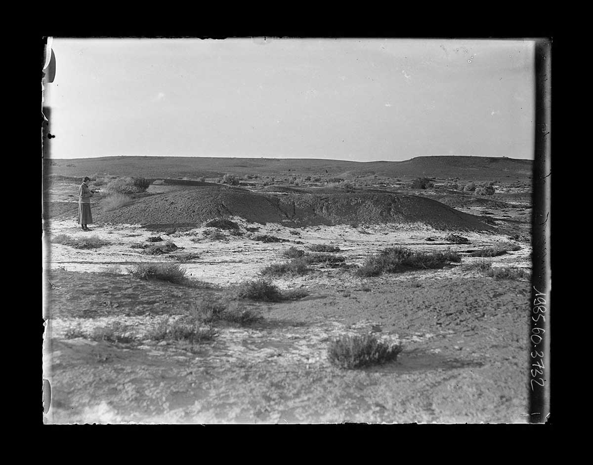 Nell Basedow standing at mound springs, Dalhousie, South Australia 1920. Mrs Basedow stands to the left of a long low earth mound that is about two thirds of her height. Its surface has fine grooves cut into it by erosion. Other mounds are in the background. In the far distance is a low gently undulating range of hills. A few scrub bushes about mid-leg high are in the foreground. - click to view larger image