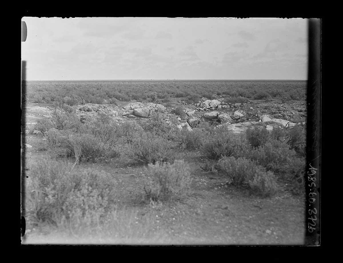 View of low-lying scrub and rocky terrain, Nullarbor Plain, South Australia 1920. In the foreground are scattered bushes about knee high. In the middle distance is a low outcrop of rocks and small boulders. Beyond the outcrop the bushes continue to the distant horizon, which is placed about two thirds of the way up the image. Small cumulus clouds can be seen in the sky. - click to view larger image