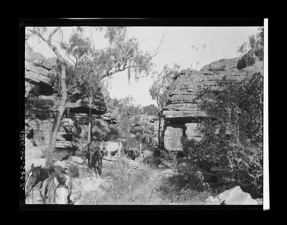 Expedition members negotiating rough terrain, northern Arnhem Land, Northern Territory 1928. An Aboriginal man on horseback leads four horses through a gorge hemmed in by vertical rock walls. The man and horses move through the gorge from the background to the foreground. He is in the left middle ground of the image. Two horses are in the left foreground and two are in the middle background. On the left and right the rock walls, with horizontal layers clearly visible, tower up to possibly 15 metres or more. Deep shadows are cast on the walls by overhanging sections. Trees and long spindly grass are in the gorge. Large rocks are strewn about the gorge floor, obviously making progress through the gorge difficult. - click to view larger image