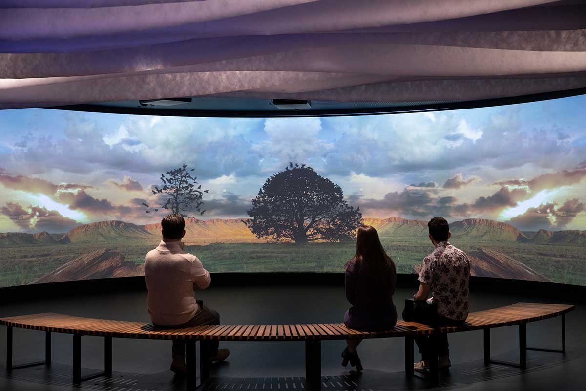Three people sit with their backs to the camera, facing a large screen which shows a sweeping landscape, with a tree at the centre of the screen. - click to view larger image