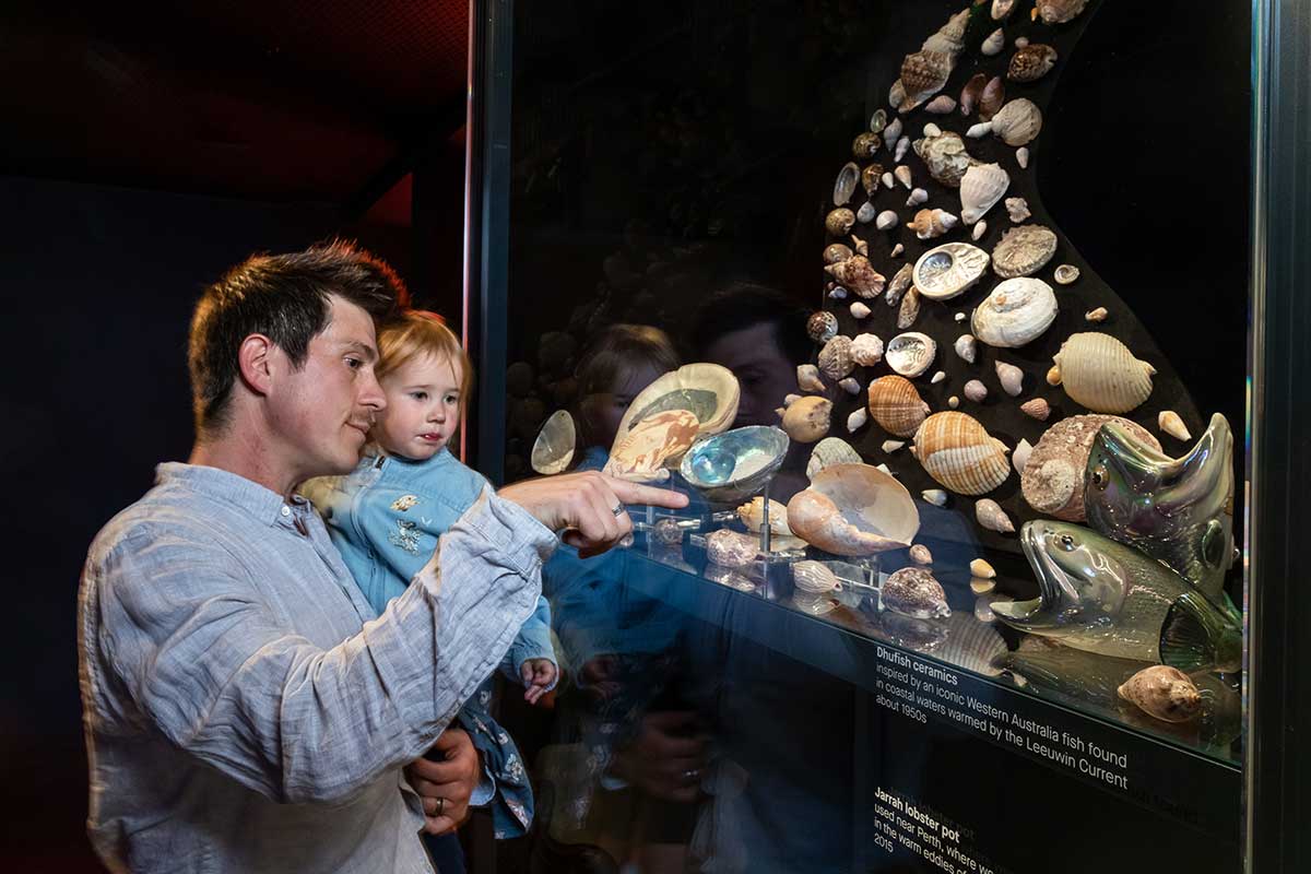 A man, holding a young child in his arms, looks at a display case containing various shells and two ceramic fish. - click to view larger image