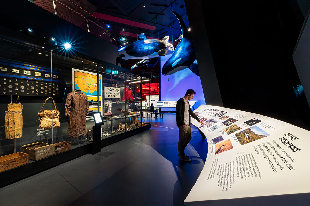 A visitor reads museum label information in an exhibition space in a museum. Behind him is a large display cabinet showcasing various objects.