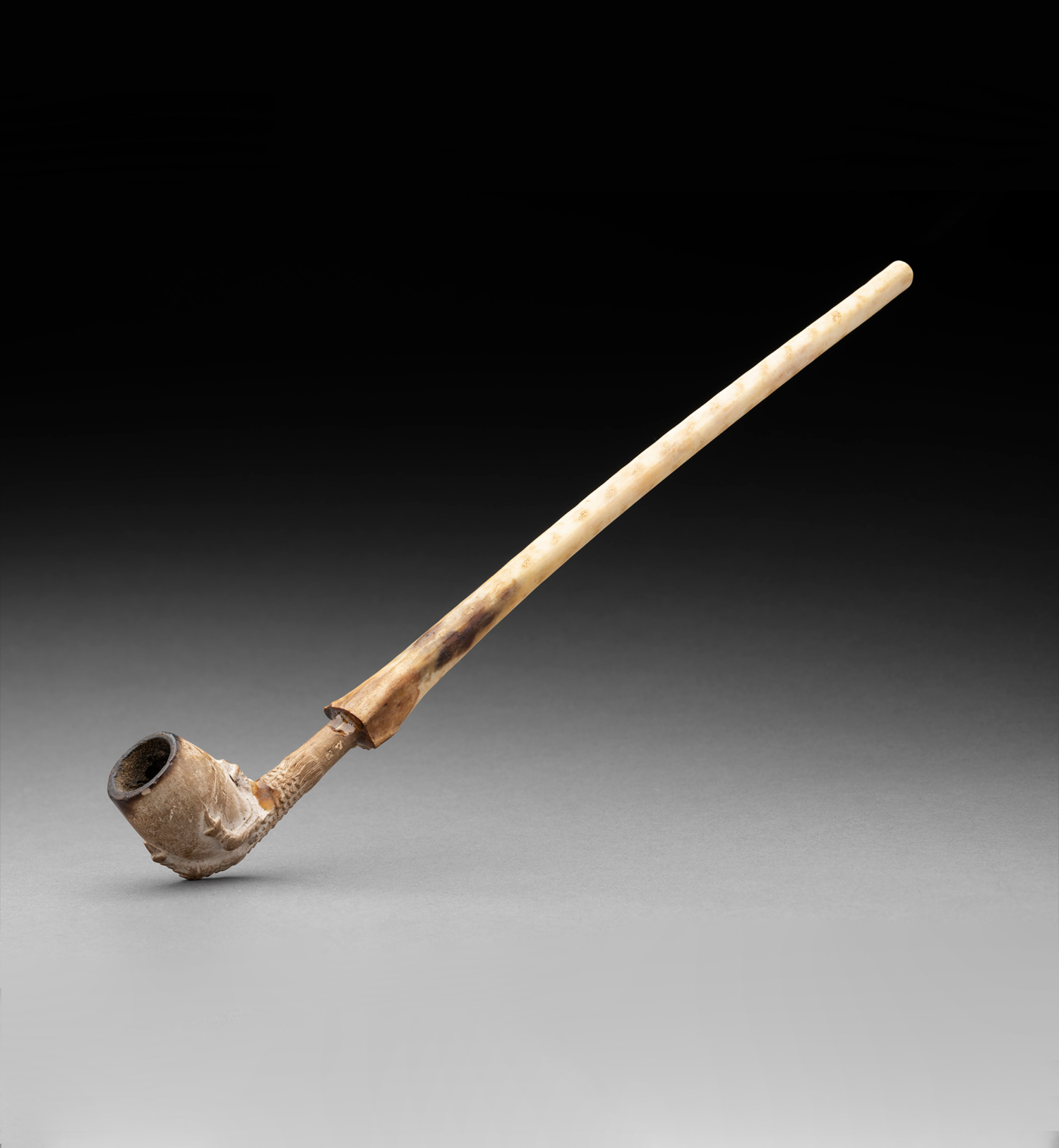 Sealer's clay pipe with hollow bird bone stem collected by Adrian Dean, Macquarie Island, 1959