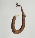 Large fishhook made of brown hardwood with the point made of mother-of-pearl that is secure with plaited coconut fibres.
