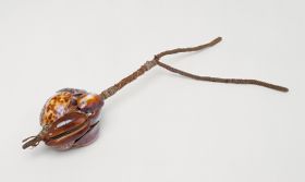 Fishing bait or lure made of the backs of cowry shells to resemble an animal.