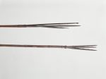 Fishing spears made of a dark brown bamboo tube, with a three-part point made of a dark wood at the ends, attached with finely plaited coconut fibres.