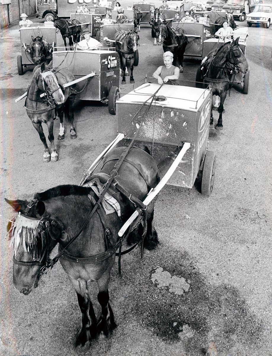 Black and white photo of a number of horse-drawn carts. - click to view larger image