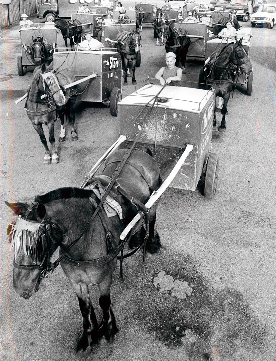 Newcastle & Suburban Co-operative Society's fleet of bread carts, 1973 - click to view larger image