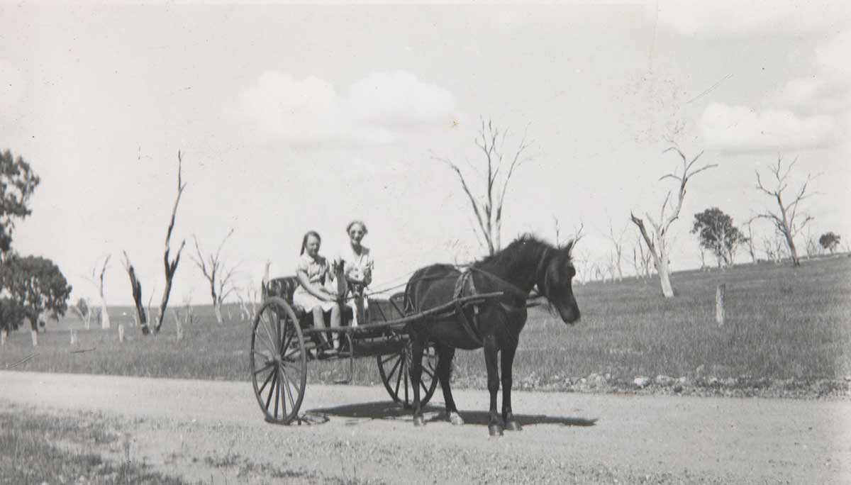 A young girl and a woman seated in a small horse-drawn carriage. - click to view larger image