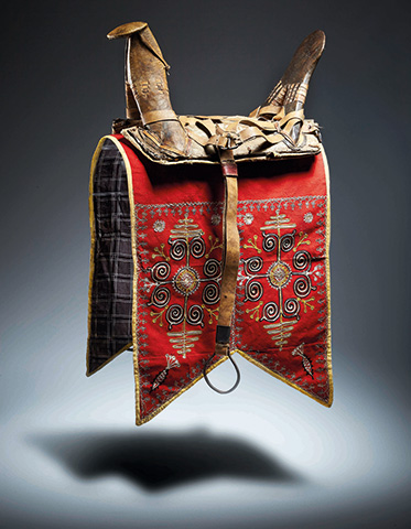 Saddle and saddlecloth with harness straps