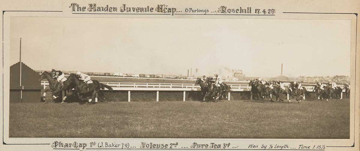 A black and white photo of Phar Lap winning The Maiden Juvenile Handicap at Rosehill on 17 April 1929. - click to view larger image