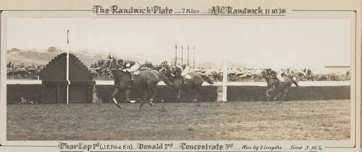 A black and white photo of Phar Lap winning the Randwick Plate, 1930. - click to view larger image