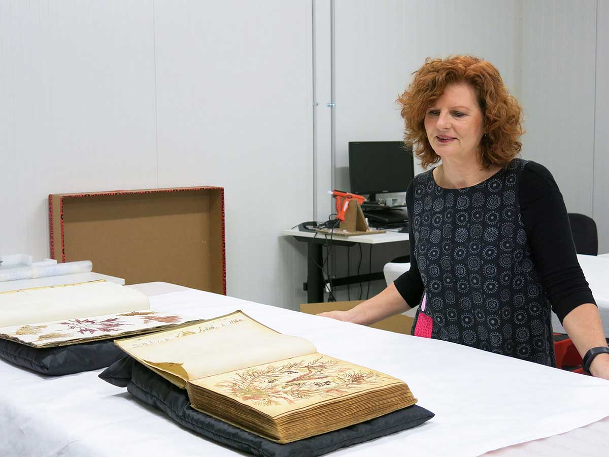 Woman with wavy red hair viewing an open book on a large table - click to view larger image