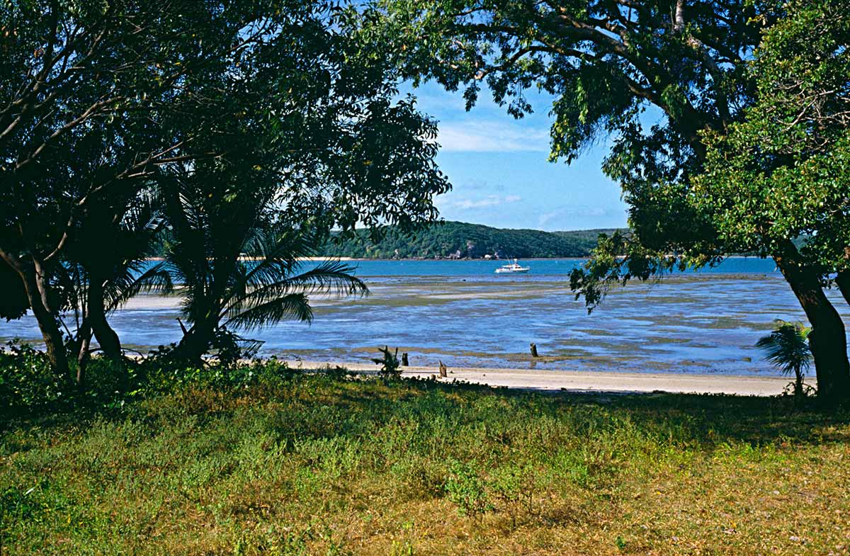 A photo of a green grassy beach with trees on either side allowing a view of the water and a boat. The landmass behind the boat is covered in densely populated trees.