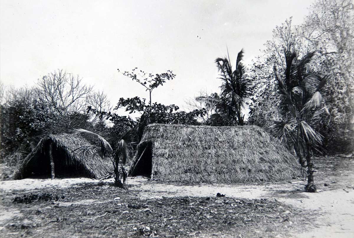 A black and white historic photo of two low level thatched huts. The garden is bare with a few palm or coconut trees. There are other less lively trees in the background.