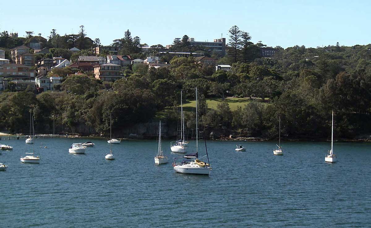 A photo of a collection of houses and other buildings and trees overlooking an inlet of water and thirteen small white boats with tall mast.