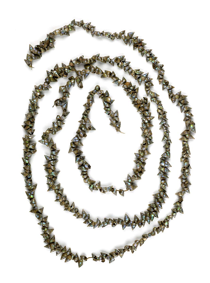 Necklace made of maireener shells (or rainbow kelp shells - Phasianotrochus irisodontes). Length: 96 centimetres (strung together). - click to view larger image