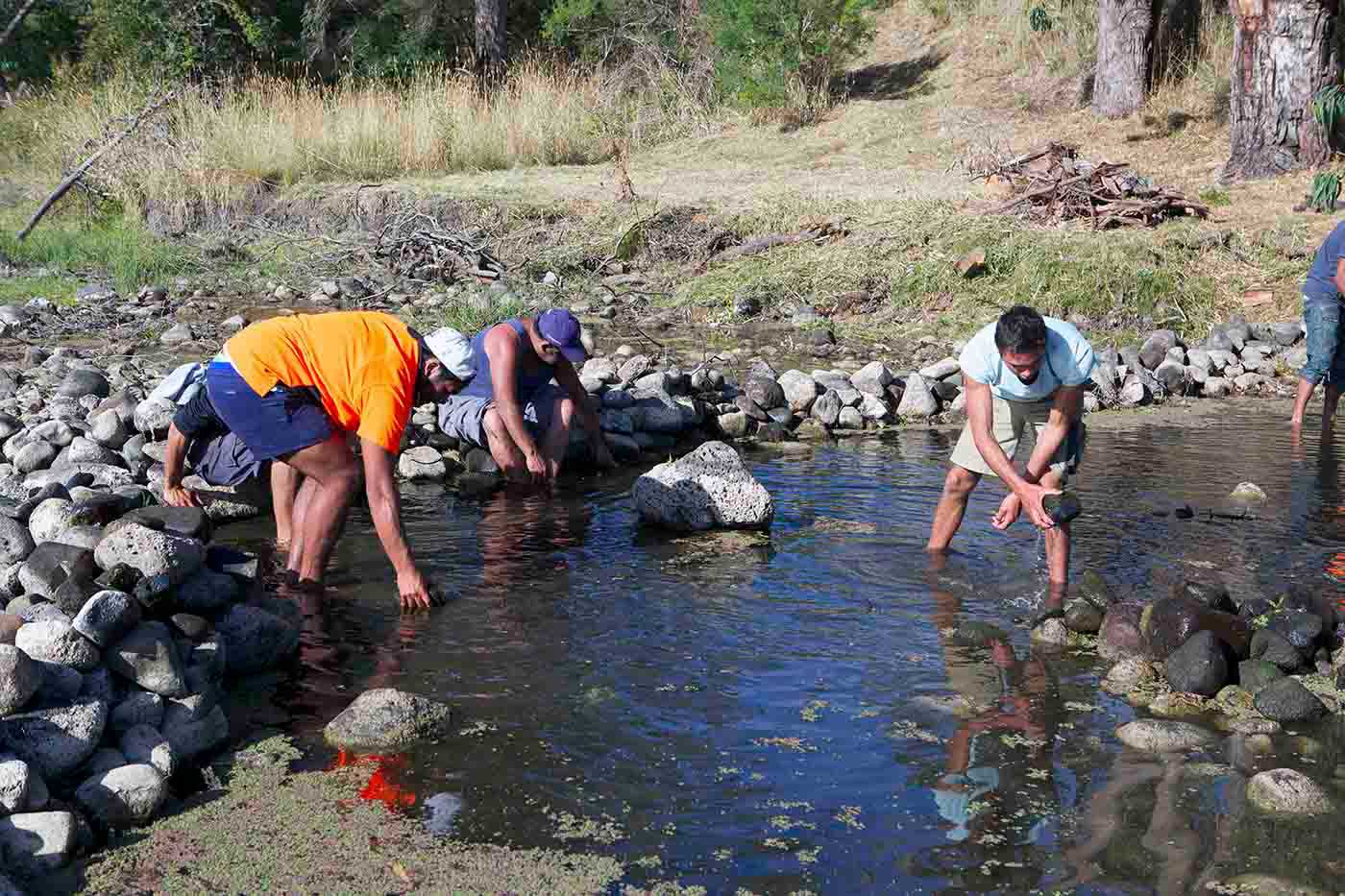 Group of people performing unidentified activity in the shallows of a river.