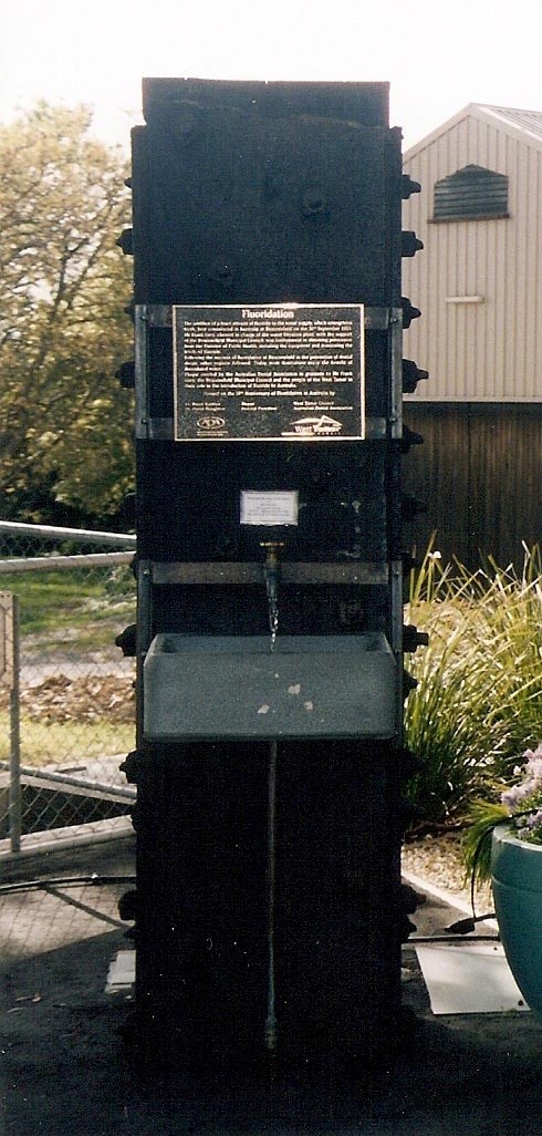 Plaque with the title: Fluoridation and text underneath mounted onto a water outlet with a running tap and sink. - click to view larger image