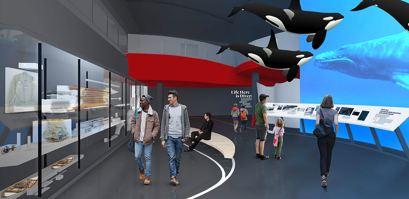 Artists impression of a gallery space, with several large killer whale sculptures suspended from the ceiling, and various people looking at objects and a screen showing footage of a whale. 