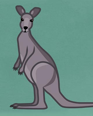 Graphic showing a grey-coloured kangaroo on an aqua background.
