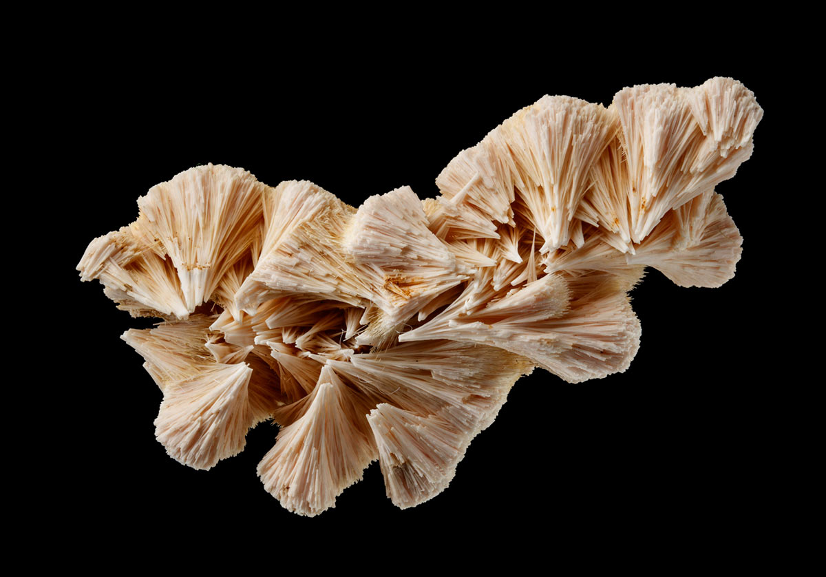A mineral specimen featuring salmon coloured clusters of thread-like forms. - click to view larger image