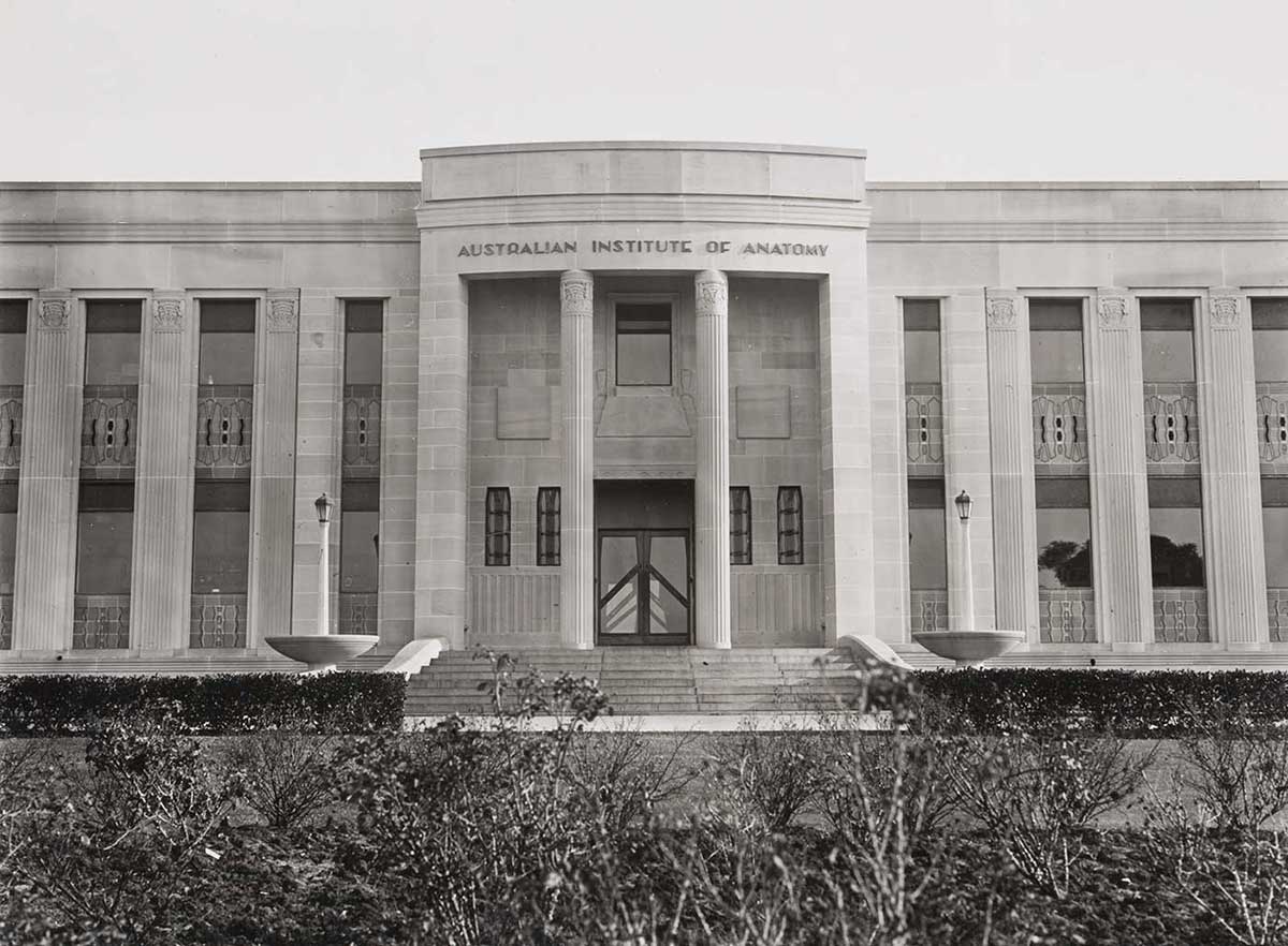 The Australian Institute of Anatomy building. The two storey building is seen from the front. Much of the imposing facade with its half-square columns and central entrance is visible. The columns have windows and designed panels between them. At the centre of the photograph are the main doors, whose dark timber is in contrast to the light tones of the sandstone facade. The doors are small in contrast to the two large columns in the round on either side of the entrance. None of the building's roof is visible as it has a flat roof which is hidden by the top of the facade. In the photograph foreground is a garden bed with some flower bushes.