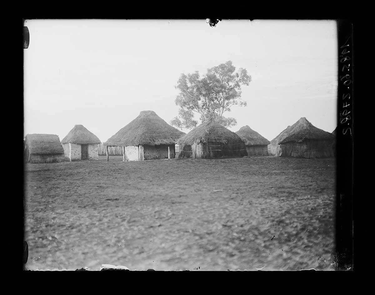 Six Aboriginal dwellings, Hermannsburg, Northern Territory 1923. The walls and steeply pitched rooves of most dwellings are made from thatched and bound rushes. Two of the dwellings have walls that appear to be made from stone or brick. All of them have approximately square layouts. The dwelling with the tallest roof, near the image centre, has an extended roof line creating a verandah on at least the two visible sides. A single tall tree in the centre background rises above the dwellings. The foreground is open bare ground, stippled by many small undulations on its surface. - click to view larger image