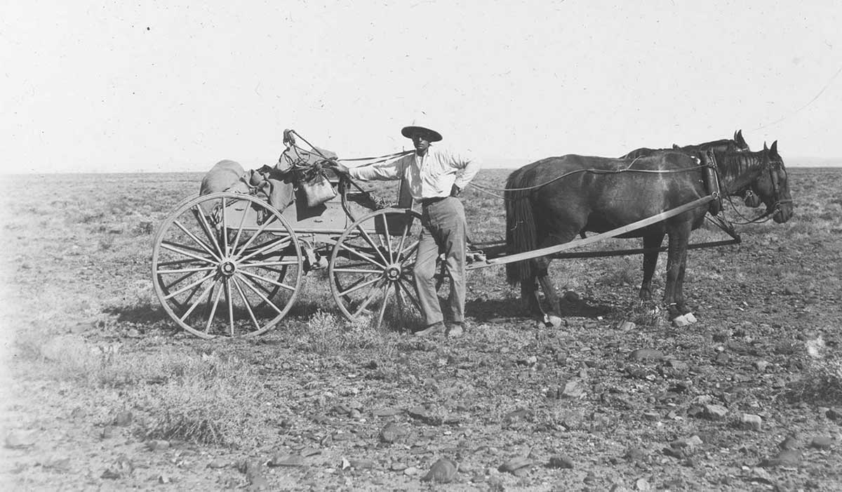 Herbert Basedow with horses and a wagon on the plains east of Lyndhurst, South Australia 1907. He stands at the front of a horse-drawn wagon, facing the camera. The wagon faces to the right of the image, as do the two horses harnessed to it. Basedow wears trousers, shoes, a long-sleeved shirt and a hat. He rests his right hand upon some expedition equipment on the buggy. The gound around him and the wagon is covered in patchy grass and rocks. A flat, featureless plain extends away behind Basedow all the way to the horizon. The sky takes up about the top third of the image. - click to view larger image
