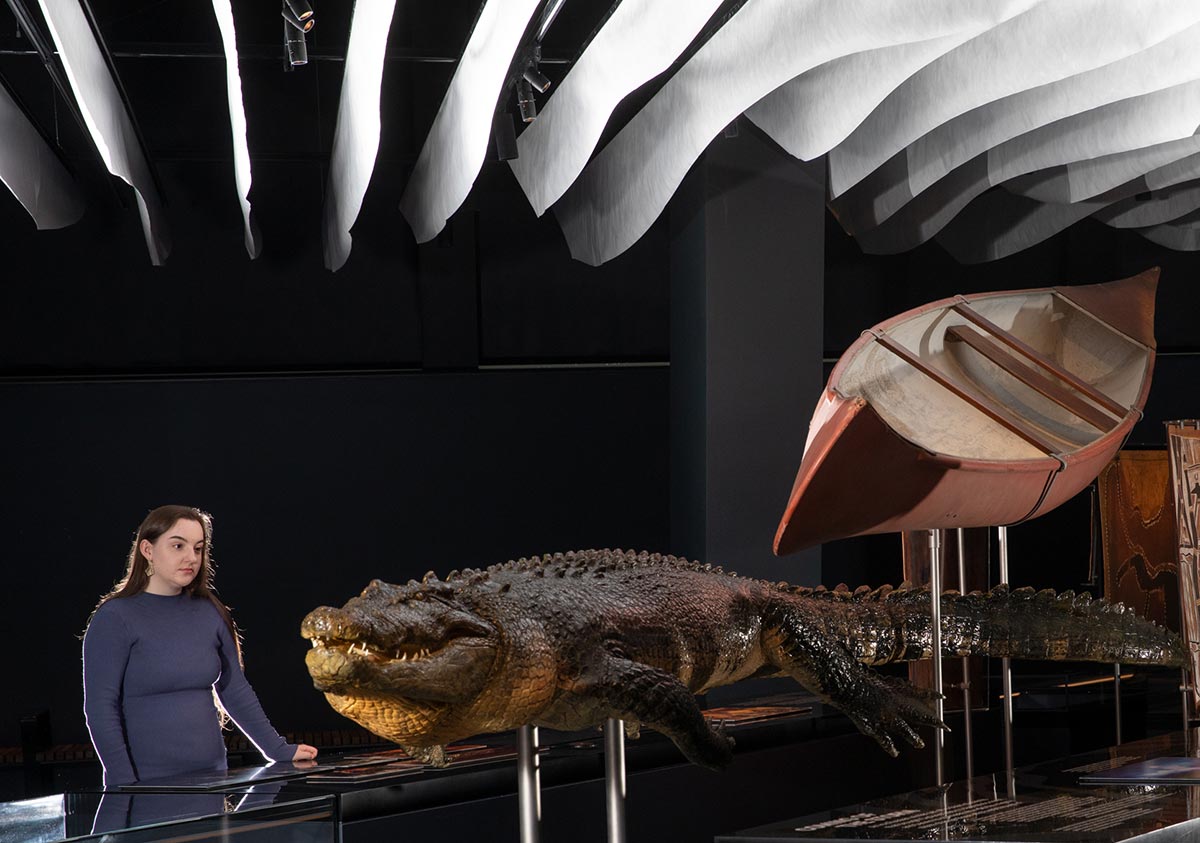 A woman looks at a mounted crocodile specimen in a museum. A canoe is mounted just above and the the right of the crocodile. - click to view larger image