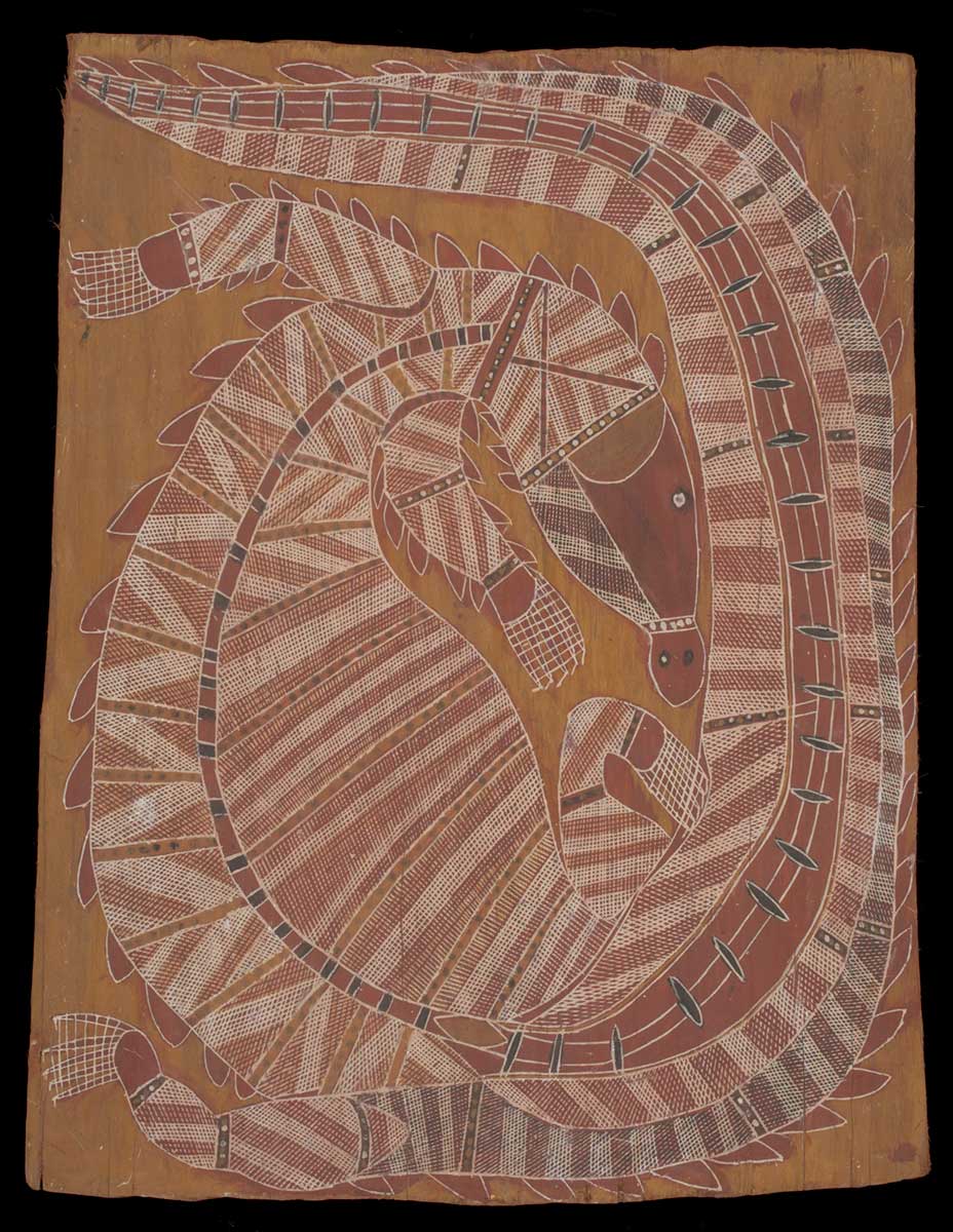 A bark painting worked with ochres on bark. It depicts a coiled crocodile with its head in the centre of the painting. The crocodile is painted with crosshatched infill. The painting has an ochre yellow background. - click to view larger image
