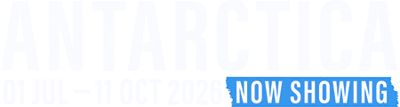 Antarctica now showing